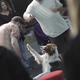 Image for article titled New OK Go Awesome Video Is Full of Awesome Dogs